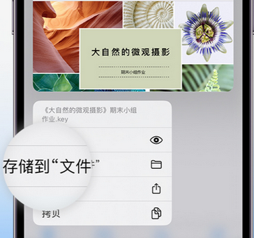 灌阳apple维修中心分享iPhone文件应用中存储和找到下载文件