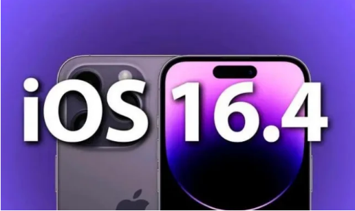 灌阳苹果14维修分享：iPhone14可以升级iOS16.4beta2吗？ 