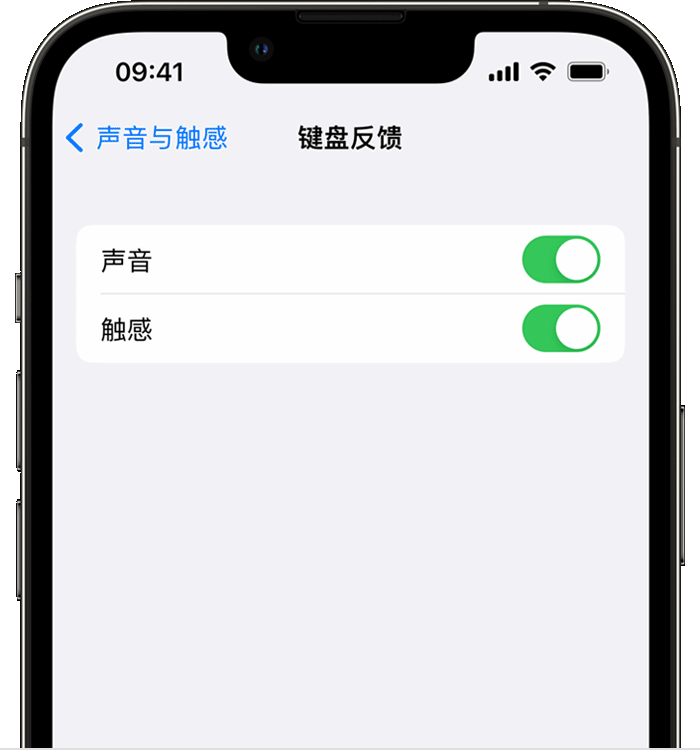 灌阳苹果14维修店分享如何在 iPhone 14 机型中使用触感键盘 