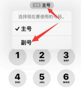 灌阳苹果14维修店分享iPhone 14 Pro Max使用副卡打电话的方法 