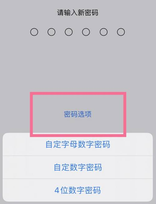 灌阳苹果14维修分享iPhone 14plus设置密码的方法 