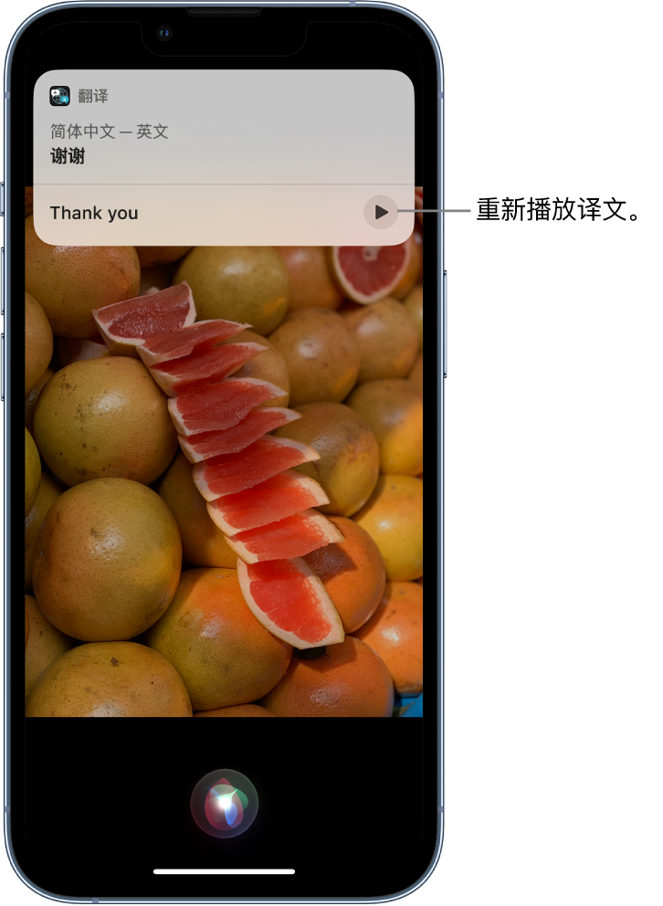 灌阳苹果14维修分享 iPhone 14 机型中使用 Siri：了解 Siri 能帮你做什么 