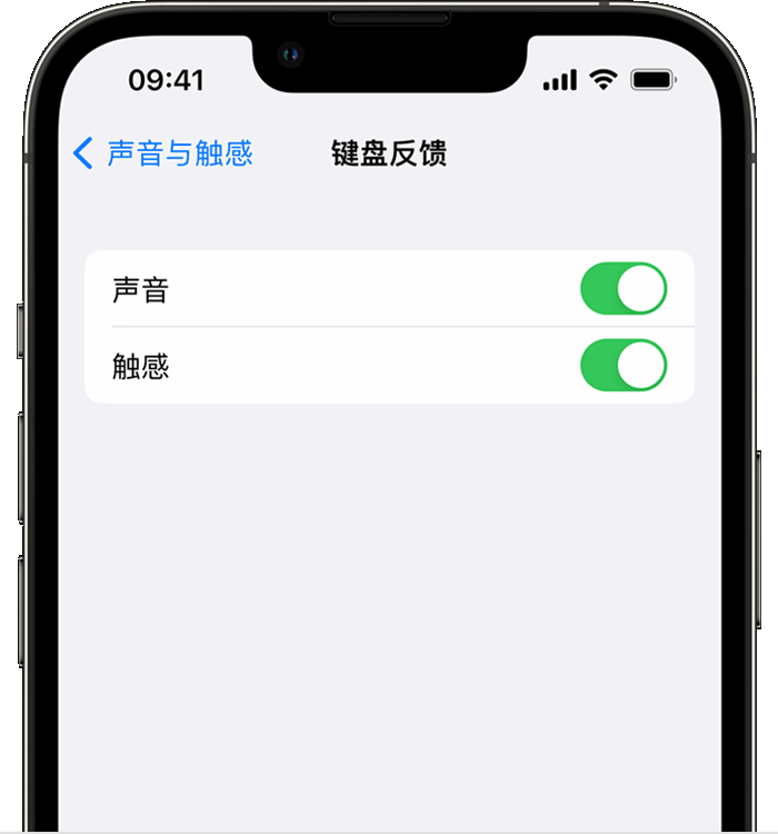 灌阳苹果14维修分享iPhone 14 系列机型如何开启键盘声音或触感反馈 