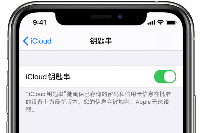 灌阳苹果手机维修分享在 iPhone 上开启 iCloud 钥匙串之后会储存哪些信息 