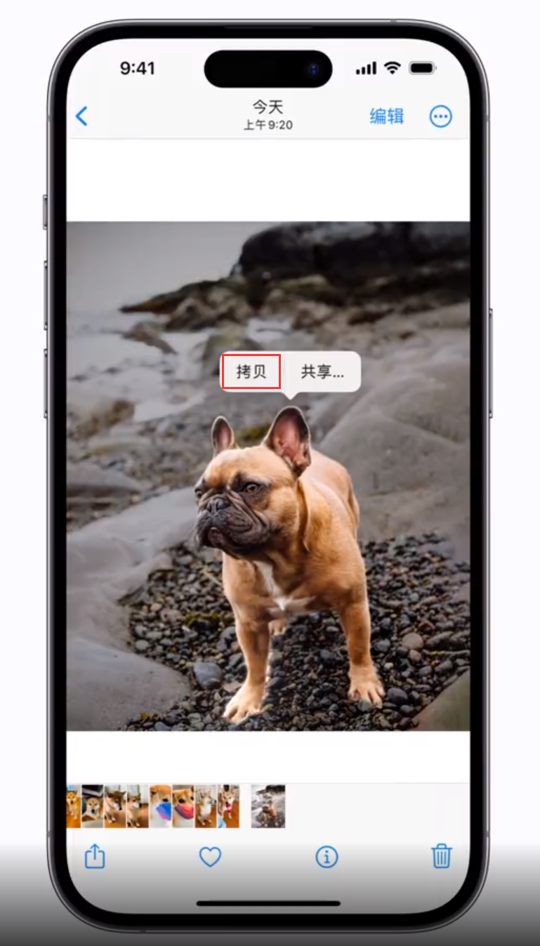 灌阳苹果手机维修分享 iOS 16 自带一键抠图功能 