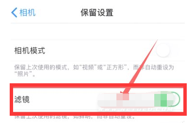 灌阳苹果13维修分享iPhone13拍照有绿点是怎么回事 