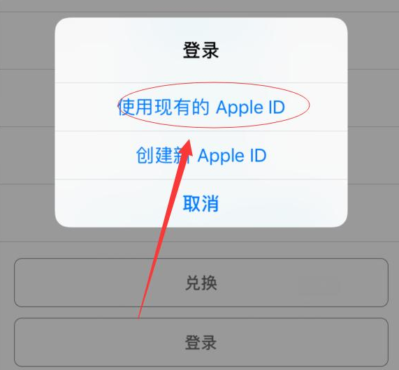 灌阳苹果手机维修分享两台iPhone设备可以同时登录一个Apple ID吗 