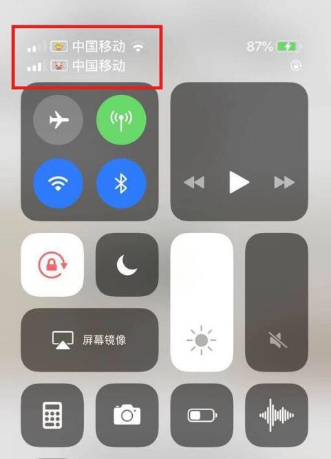灌阳苹果手机维修分享为 iPhone 12 双卡设置标签 