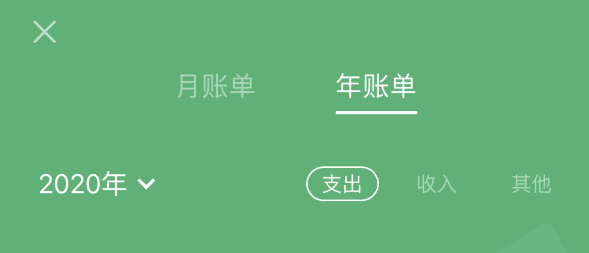 灌阳苹果手机维修分享如何在 iPhone 上查看支付宝和微信年支出账单 